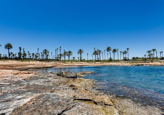 Apartment in Torrevieja