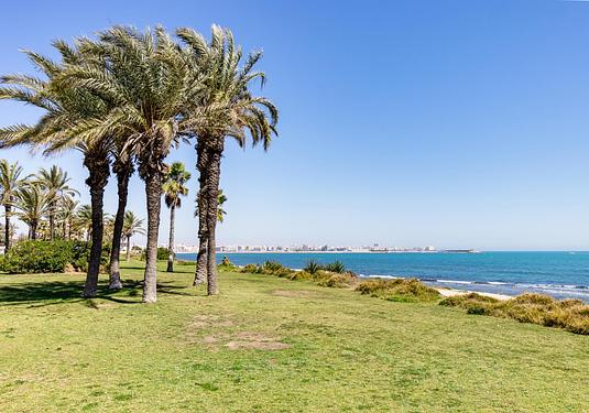 Apartment in Torrevieja