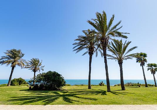 Apartment in Torrevieja