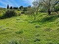 Land in Estepona