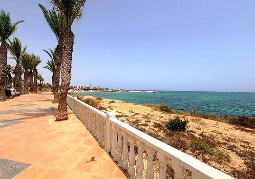 Land in Pilar de La Horadada