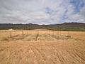 Land in Yecla