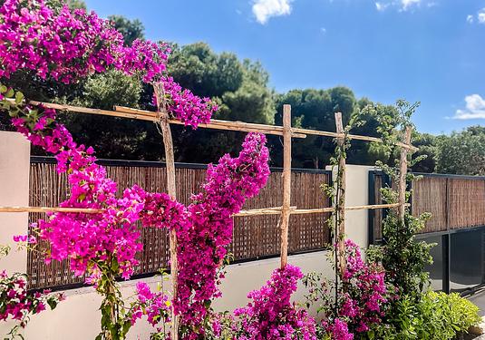 Apartment in San Javier