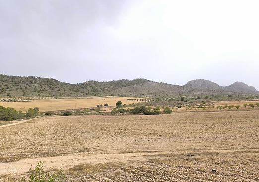 Land in Yecla