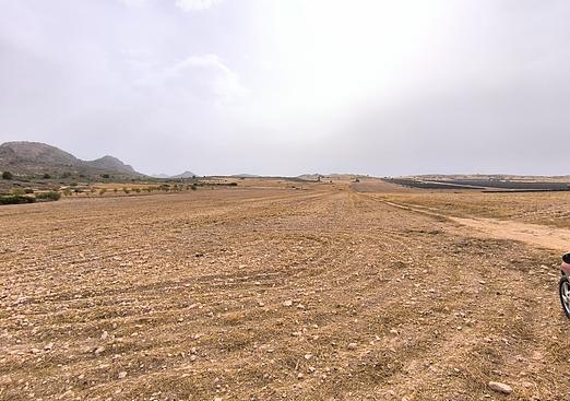 Land in Yecla