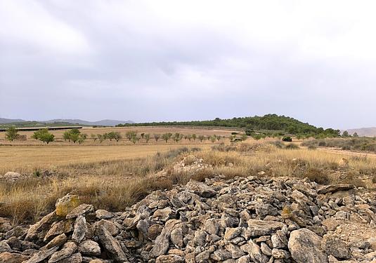 Land in Yecla