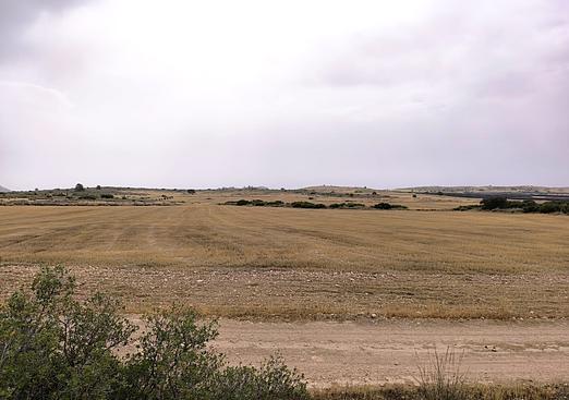 Land in Yecla