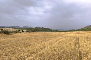 thumb 10