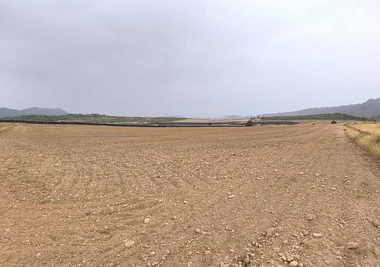 Land in Yecla
