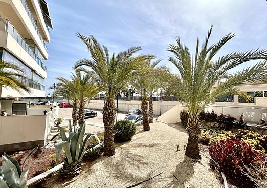 Apartment in Los Dolses