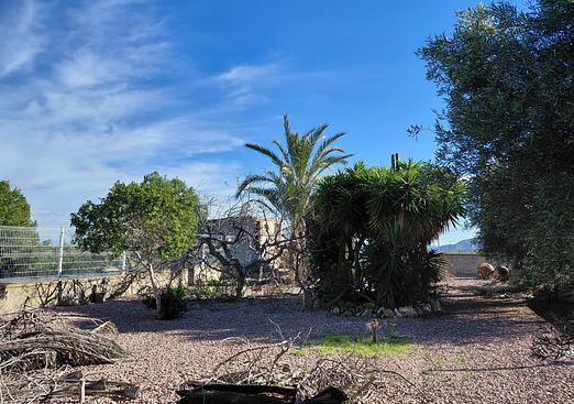 Country house in Orihuela