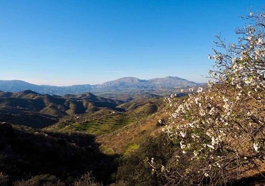 Finca in Alora