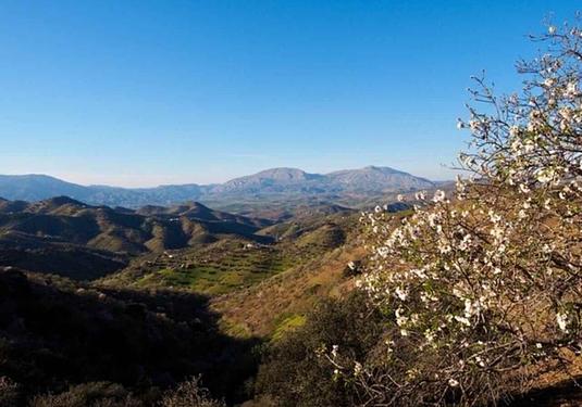 Finca in Alora