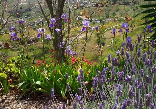 Finca in Alora