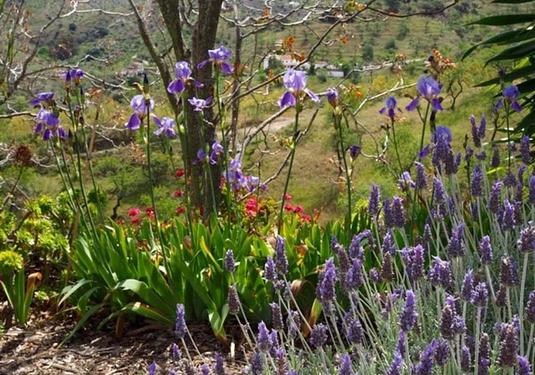 Finca in Alora