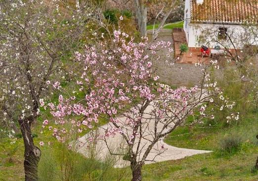 Finca in Alora