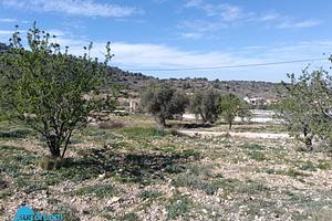 thumb 27
