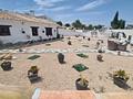 Other in Orce