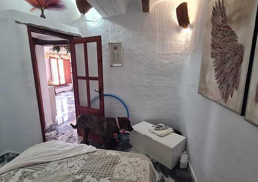 Other in Orce