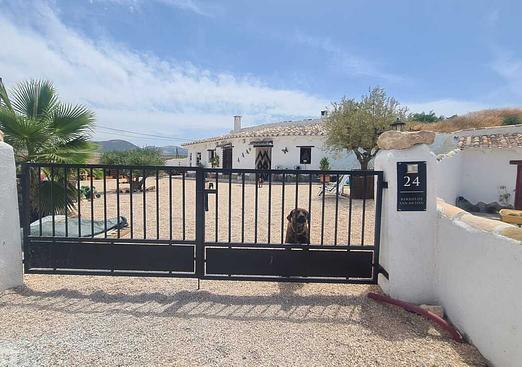 Other in Orce