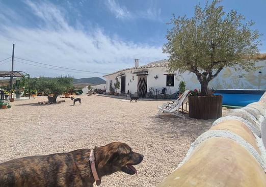 Other in Orce