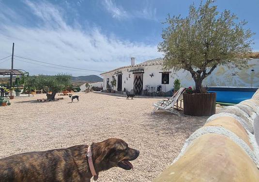 Other in Orce