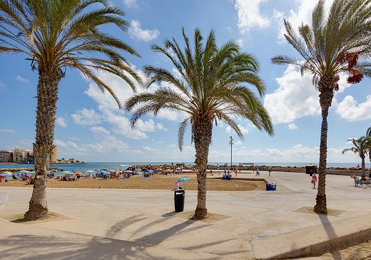 Apartment in Torrevieja