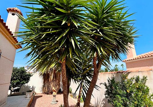 Villa in Torrevieja