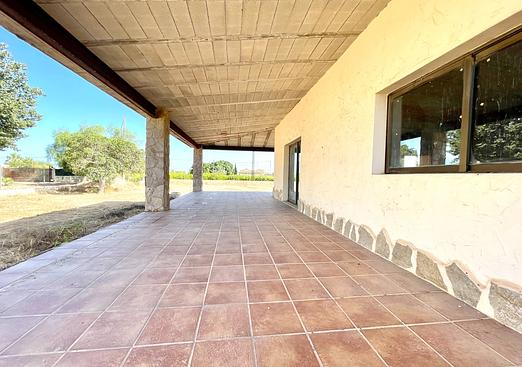 Country house in Elche