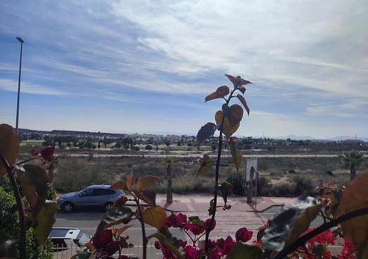 Apartment in Altaona Golf