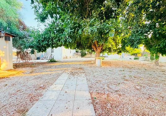 Country house in Catral