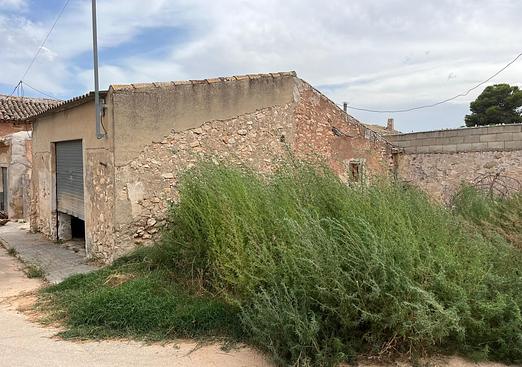 Other in Pinoso