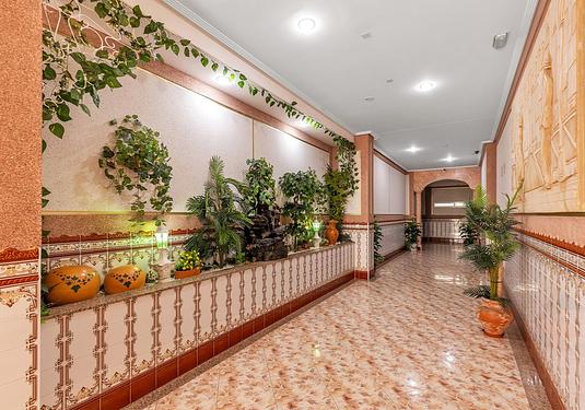 Apartment in La Mata