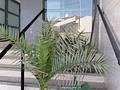 Apartment in San Pedro del Pinatar