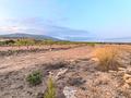Land in Pinoso
