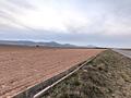Land in Yecla