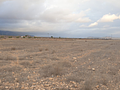 Land in Pinoso