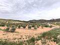 Land in Jumilla