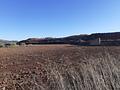 Land in Pinoso