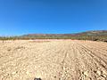 Land in Monóvar/Monóver