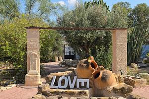 thumb 6