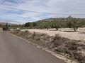 Land in Salinas