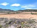 Land in La Zarza
