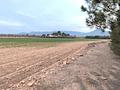 Land in Yecla