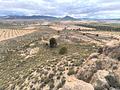 Land in Yecla