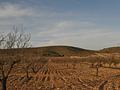 Land in Abanilla