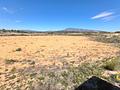 Land in La Zarza