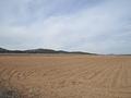 Land in Monóvar/Monóver