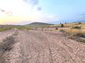 Land in Pinoso