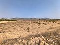 Land in Pinoso